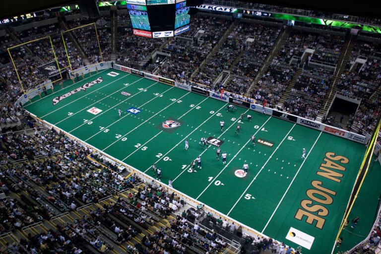 25 Faktai Apie Arena Football League Ebiz Lt