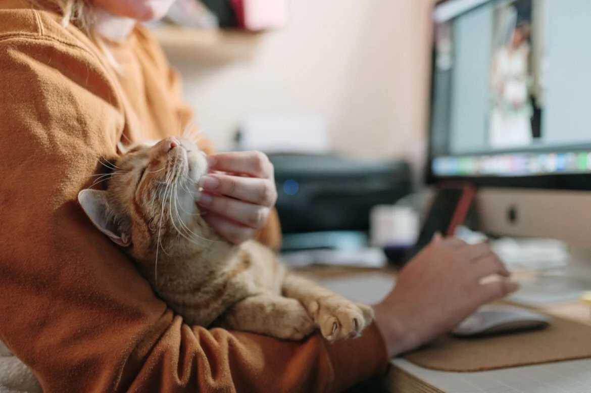Ar katės biure gali padėti sumažinti darbuotojų stresą?