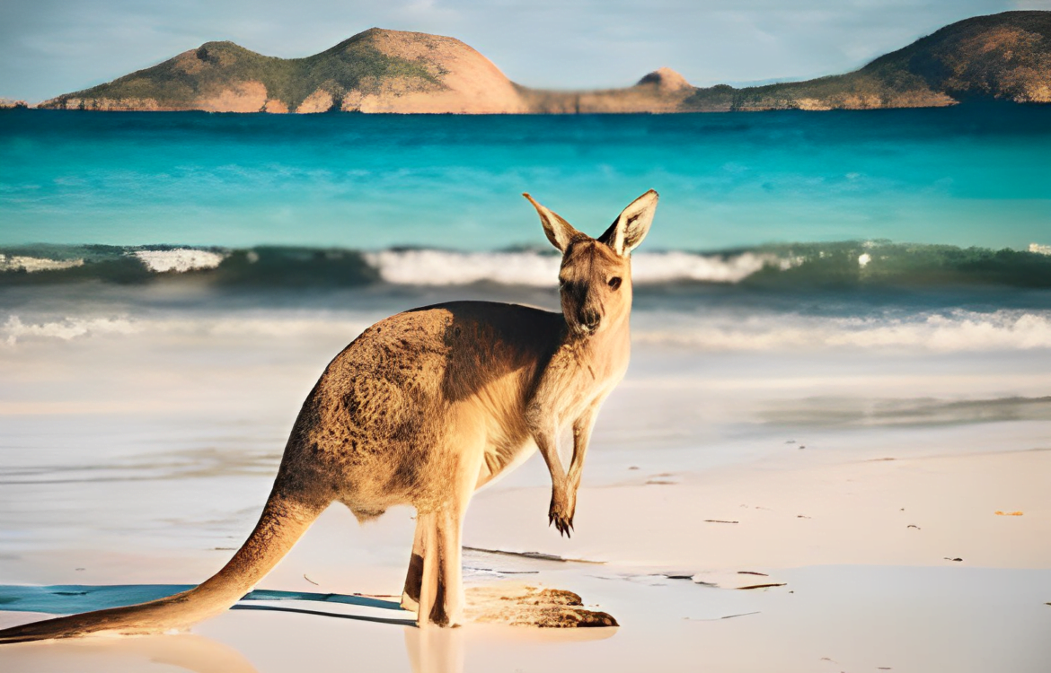 Naujas absolventų darbo ir kelionių Australijoje vadovas