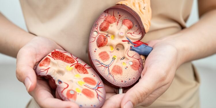 Kreatininas: padidėjusio ir sumažėjusio kiekio reikšmė bei gydymo galimybės