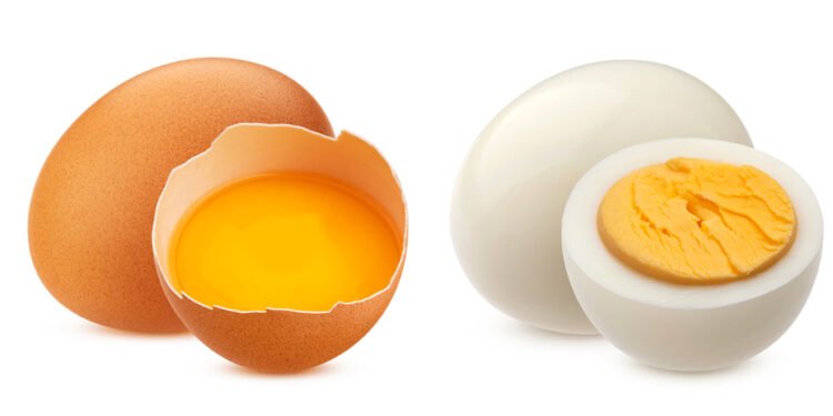 Kuo tiksliai skiriasi rudi ir balti kiaušiniai?