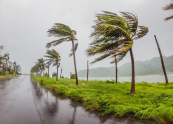 Kodėl kaukiantis vėjas toks šiurpus