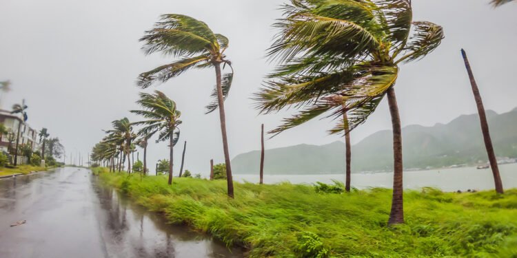 Kodėl kaukiantis vėjas toks šiurpus