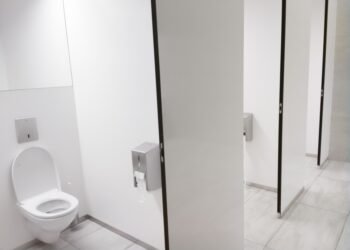 Kodėl viešųjų tualetų sėdynės yra U formos