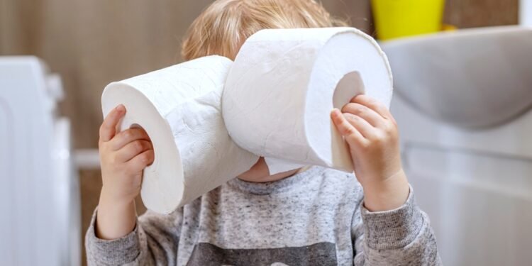 Genialus tualetinio popieriaus laikymo triukas mažoms erdvėms