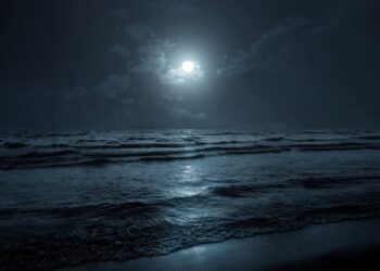 Šis tamsoje švytintis paplūdimys – tikra magija akims