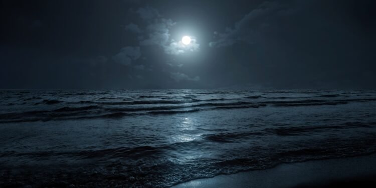 Šis tamsoje švytintis paplūdimys – tikra magija akims