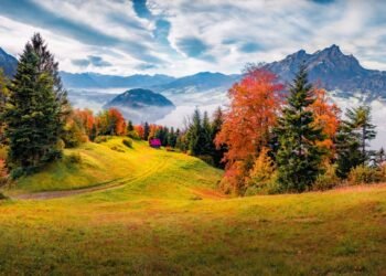 Šis įspūdingas Šveicarijos Alpių miestelis siūlo 25 000 dolerių atvykstantiems gyventi