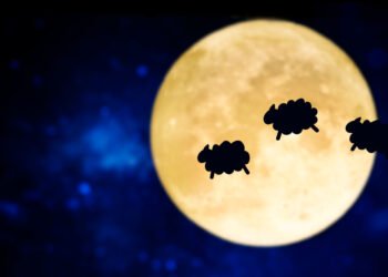 Štai kodėl žmonės pradėjo skaičiuoti avis, norėdami užmigti