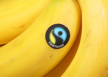 Ką iš tikrųjų reiškia lipdukas ant vaisiaus (tai – ne tik kasai skirtas ženklas)