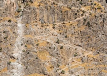 25 taiklios takų kalambūrų frazės, kurios garantuos juoko dozę