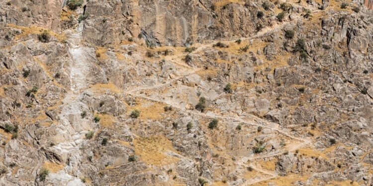 25 taiklios takų kalambūrų frazės, kurios garantuos juoko dozę