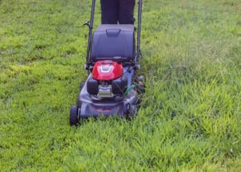 7 patarimai, kaip pjauti veją kaip profesionalui