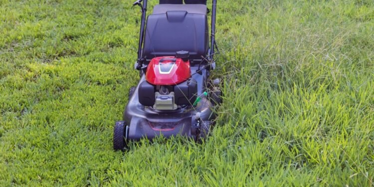 7 patarimai, kaip pjauti veją kaip profesionalui