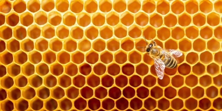 46 puikūs bičių kalambūrai, verti dėmesio