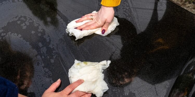 Susipažinkite su pora, laisvalaikiu tvarkančia žuvusių karių kapus