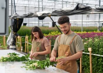 Tobulas tamprių triukas, kaip apsaugoti kambarinius augalus nuo katės