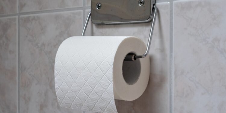 Šis išmanus tualetinio popieriaus triukas pagyvins visą jūsų vonios kambarį