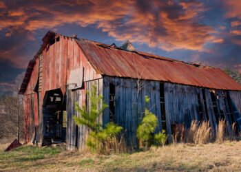 Štai sena daržinė, virtusi krepšinio aikštele