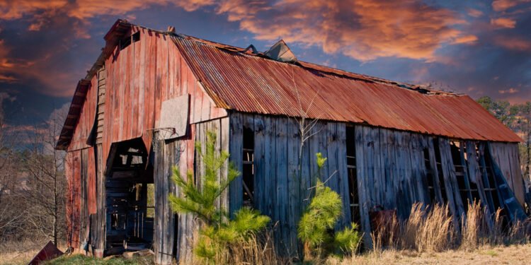 Štai sena daržinė, virtusi krepšinio aikštele