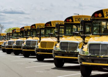 Štai kodėl mokykliniai autobusai visada geltoni