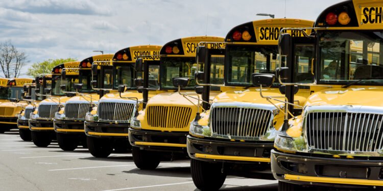Štai kodėl mokykliniai autobusai visada geltoni