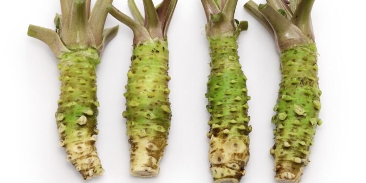 Azijietiškuose restoranuose siūlomas „wasabis“ – iš tiesų ne tikras wasabis