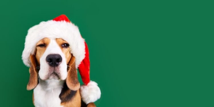 Štai kodėl „Amazon“ „įdarbina“ tūkstančius šunų