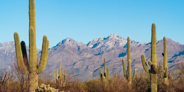 Susipažinkite su nepalaužiamiausia Žemės rūšimi