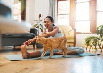 Kodėl Jūsų Namai Gali Kenkti Jūsų Katės Sveikatai