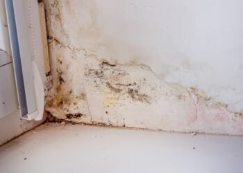 Kaip ištaisyti drėgnas ir šlapias sienas