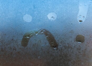 Šis išradingas triukas padės apsaugoti automobilio langus nuo rasojimo