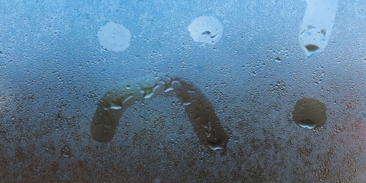 Šis išradingas triukas padės apsaugoti automobilio langus nuo rasojimo