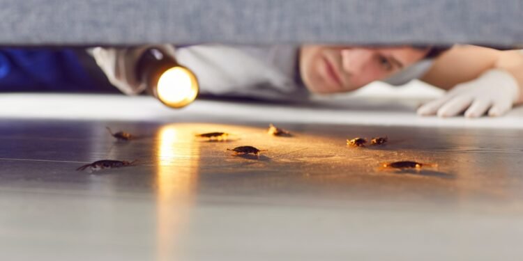 Nematomas ženklas, jog jūsų namuose gali būti tarakonų