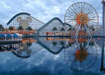 Kodėl „Disney World“ naudoja violetinius kelio ženklus