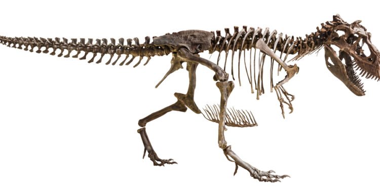 Štai kaip iš tikrųjų skambėjo tiranozaurai