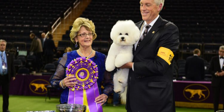 Susipažinkite su Badiu Holiu – šuneliu, laimėjusiu pagrindinį prizą Vestminsterio kinologų parodoje