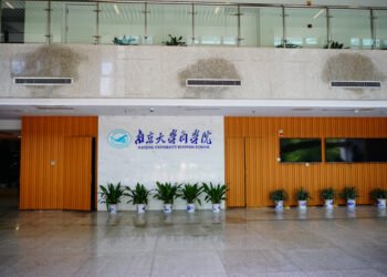 CBD išsamus vadovas