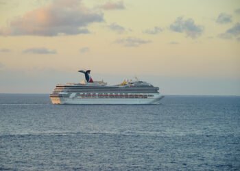 Carnival Cruise Line – pirmoji kruizų bendrovė, uždraudusi šį prieštaringai vertinamą daiktą visuose reisuose