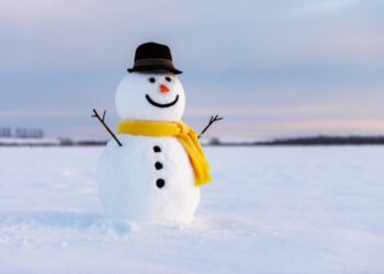 Sniego senio istorija: nuo ištakų iki šiandien  arba  Žavinga sniego senio istorija