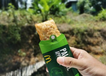 Ši slapta sudedamoji dalis – McDonald’s obuolių pyragėlių skanumo paslaptis