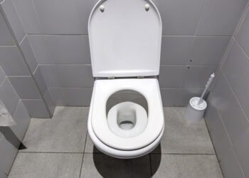 Ar galima užsikrėsti nuo tualeto sėdynės?