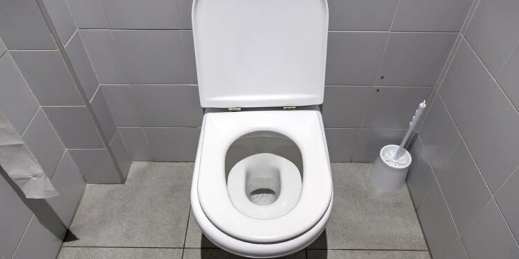 Ar galima užsikrėsti nuo tualeto sėdynės?