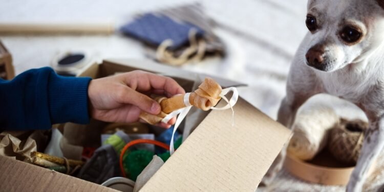 8 geriausios šunų prenumeratos dėžutės, kurios pradžiugins jūsų augintinį