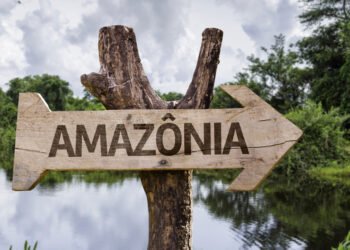 8 pasekmės, jei išnyktų Amazonės atogrąžų miškai