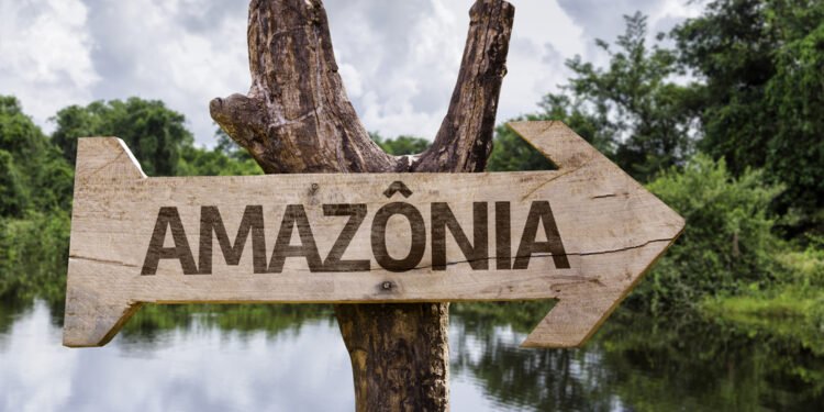 8 pasekmės, jei išnyktų Amazonės atogrąžų miškai