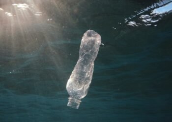 Štai kiek laiko plastikiniai buteliai suyra vandenyne