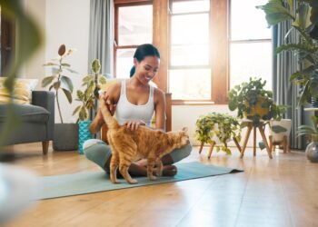 Murkianti katės žaisliukas ramina nerimastingus augintinius – jau išbandė 17 000 „Amazon“ pirkėjų