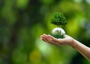 Pasaulinė aplinkos diena ir Žemės diena: koks skirtumas?