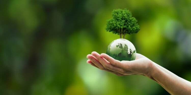 Pasaulinė aplinkos diena ir Žemės diena: koks skirtumas?